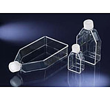 Image of Nunc Flask Easy Sterile 25CM2 CS200 169900