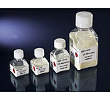 Image of Nunc Microhex Carrier 1500CM2 CS10 139102