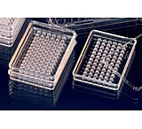 Image of Nunc Plate 72WELL Tc Terasaki CS150 136528