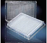 Image of Nunc Well Plte 384 W/LID STERL.CS30 242765