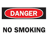 Image of Brady 7x10in No Smoking Sign (sticke 262-88370