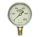 Image of Dixon Valve 2 1/2 Stnls Lm 0-30 Psi 238-GLS405