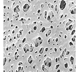 Image of Pall Filter Membr Tuffryn 47MM 66223