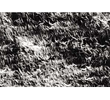 Image of Pall Fluorotrans W 3.3M Roll BSP0161