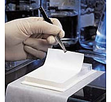 Image of Pall Membrane Transfer 20X20CM PK10 66542