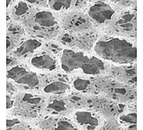 Image of Pall Nylaflo Membrane Disc Filters, Pall Life Sciences 66607, Pack of 100