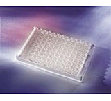 Image of Pierce REACTI-BIND (TM) Biotin Bindin 15115