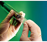 Image of Pierce Snakeskin Dialysis Tubing 88245