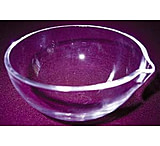 Image of Proscience Dish EVAP. Vycor 100ML GS25335-042