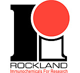 Image of Rockland Immunochemicals Irdye800cw Anti-sheep Igg 613-431-002