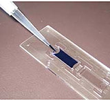 Image of SKC Films Hemacytometers Disp 100UM PK50 DHCN015