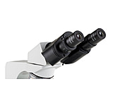 Image of UNICO Seidentopf Binocular For M250 And M250LED Series M250-3004