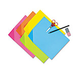 Image of United Stationers Board Tag 12x18 Brite Ast PAC1712