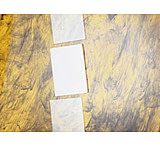 Image of Vwr Plates Electrphr Hoefr PK2 VWR-6603-2