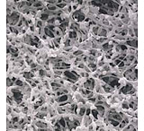 Image of Whatman Membra-Fil Membrane Filters, Non-Gridded, Whatman 10401606, Pack of 100