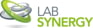 Laboratory Synergy 2019 Logo