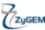 Zygem Corporation