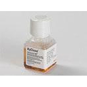 Hiro さま専用29.0cmNEOREVIVE4WHT HyClone™ AdvanceSTEM™ cell culture media | Cytiva