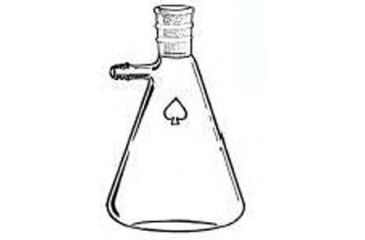 Image of Ace Glass Laboratory Glassware and Equipment 2000ML 24/40 Filter Flask 6979-20