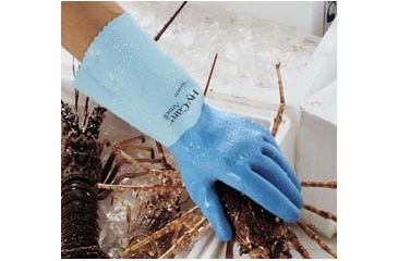 Image of Ansell Healthcare Glove Latex 62-400 10 PK12 285654