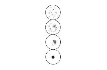 Image of Arlington RPR Test Cards and Pipets, Each, ASI 10-Well Cards, 987010