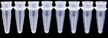 Image of Axygen PCR Tube Strips and Cap Strips, Axygen Scientific PCR-0208-G Strips Of Eight Tubes