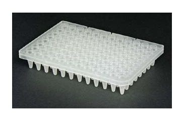 Image of Axygen Plate Pcr 96 Segmented Clr PCR-96-SG-C