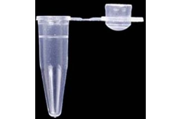 Image of Axygen Tube Pcr Lr Flat 0.5ML PK1000 PCR-05-L-C