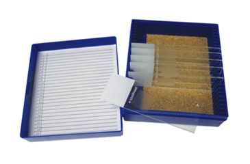 Image of Azer Scientific Control SLIDE, Muci Carmine ESCS-124