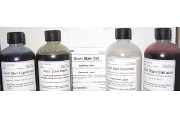 Image of Azer Scientific Stain Kt W/unstabilized Iodine ES801, Unit KT