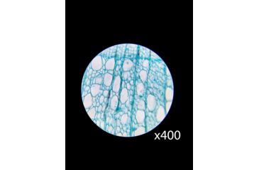 Image of Barska Student Monocular Compound 40-640x Microscope, White AY13286