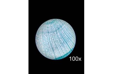 Image of Barska Student Monocular Compound 800x Microscope, White, Small AY13110