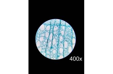 Image of Barska Student Monocular Compound 800x Microscope, White, Small AY13110