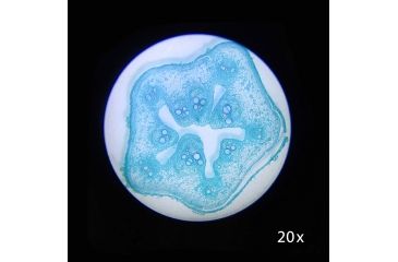Image of Barska 20x, 50x Student Stereo Microscope, White, Small AY13116