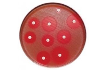 Image of BD BBL Sensi-Disc Antimicrobial Susceptibility Test Discs, BD Diagnostic Systems 231653 Cefaclor