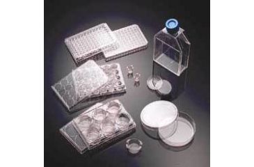 Image of BD BioCoat Cellware, Collagen Type IV, BD Biosciences 354523 Culture Flasks T-75 (75 cm2)