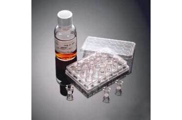 Image of BD BioCoat Matrigel Invasion Chambers, BD Biosciences 354483 Growth Factor Reduced Bd Matrigel Invasion Chambers