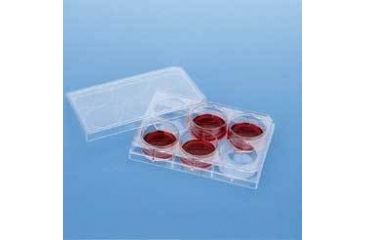 Image of BD Falcon Cell Culture Companion Plates for Inserts, Sterile, BD Biosciences 353502