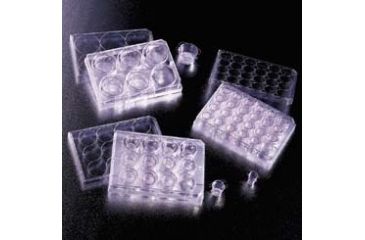 Image of BD Falcon Cell Culture Inserts, Sterile, BD Biosciences 353104 Transparent Inserts