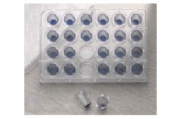 Image of BD Falcon FluoroBlok Cell Culture Inserts for Compound Permeability, Migration, and Invasion Assays, BD Biosciences 351152