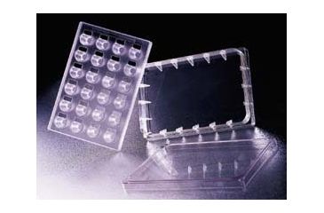 Image of BD Falcon HTS 24-Multiwell Insert Systems, BD Biosciences 351182 Insert Systems With Plate