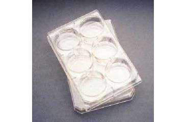 Image of BD Falcon Multiwell Flat-Bottom Plates with Lids, Sterile, BD Biosciences 353226