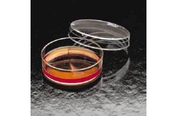 Image of BD Falcon Tissue Culture Dishes, Polystyrene, Sterile, BD Biosciences 353003 Culture Dishes