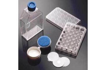 Image of BD Flask Pdl 250ML Cantd Plug CS5 354524