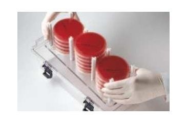 Image of BD GasPak EZ Container Systems, BD Diagnostics 260674 Incubation Container Rack, Large