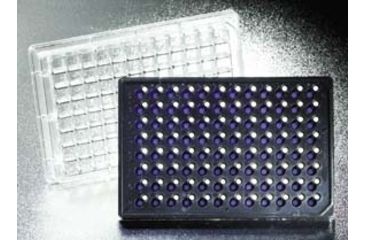 Image of BD Insert Hts 24W 8UM W/LID CS1 351157