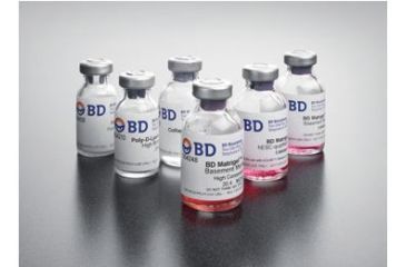 Image of Bd Matrigel Matrix 10ML 354234