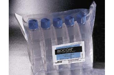 Image of BD Plate 384 Collagen White CS80 356934