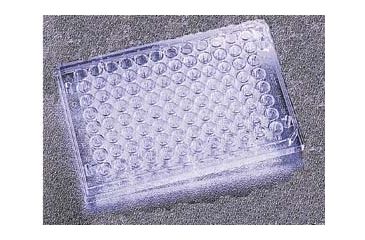Image of BD Plate Falcon 96 W Elisa CS100 353279
