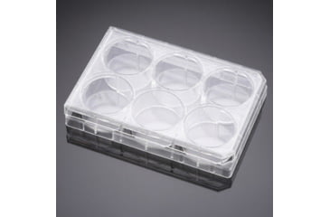 Image of BD Plate Multiwel W/LID 48WL CS50 351178